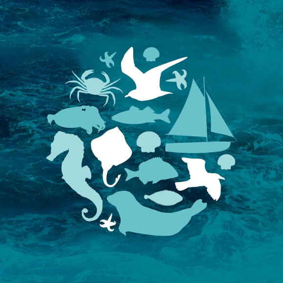 Clear Seas circular icon showing different species and marine users.