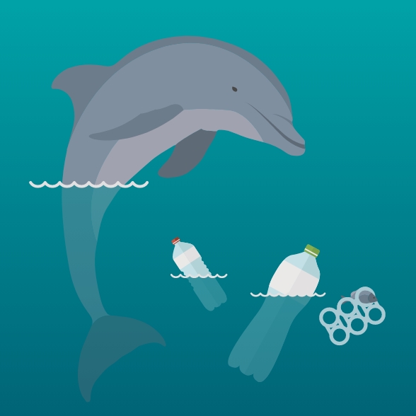 Clear Seas illustration showing dolphin and plastic pollution