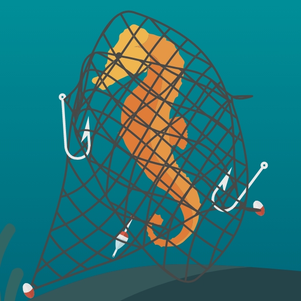 Clear Seas illustration showing seahorse trapped by net (ghost gear)