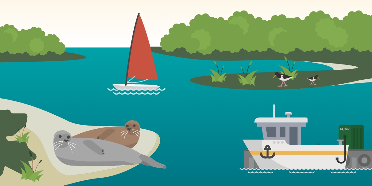 Clear Seas illustration showing Chichester Harbour, boats and common seals