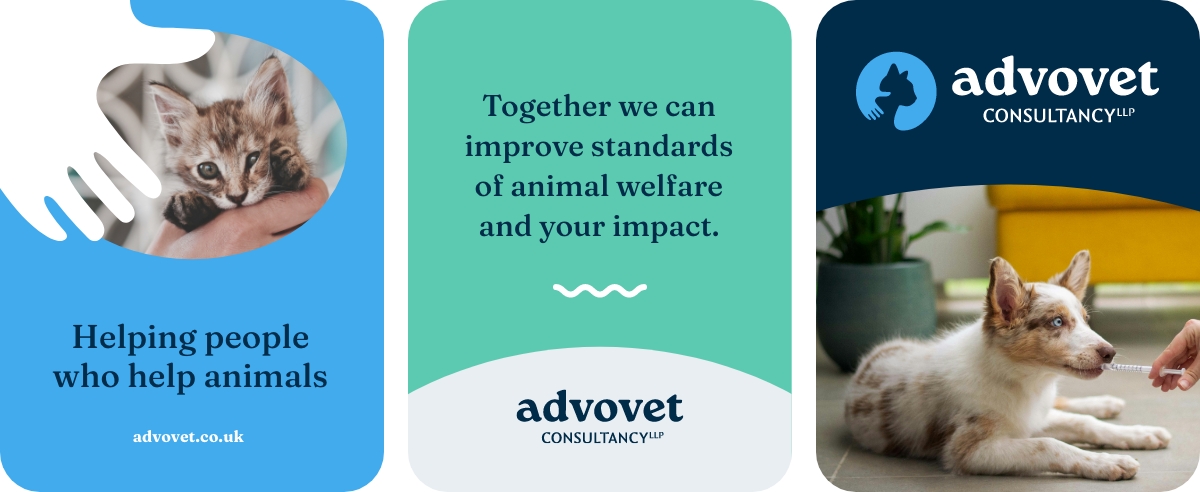 Advovet05.jpg Advovet social media layout mockups