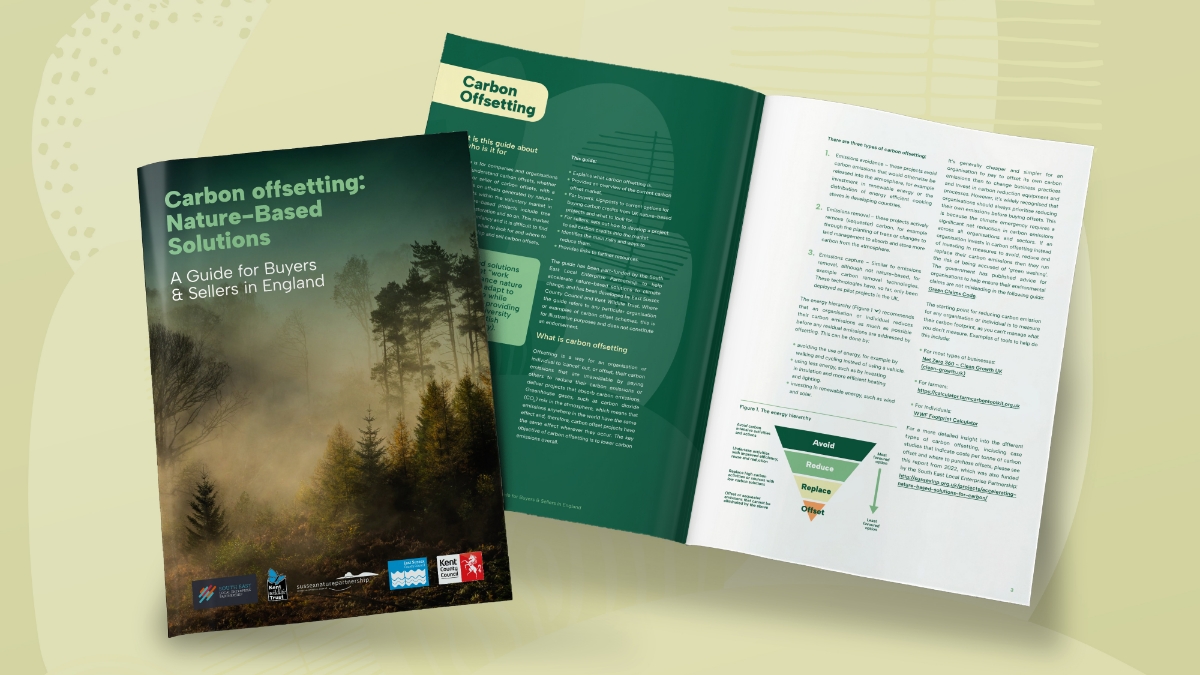 Carbon offsetting: Nature-Based Solutions Report mockup and inside spread