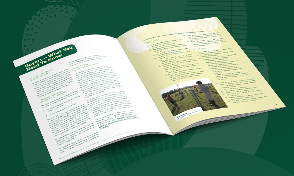 Report spread mockup