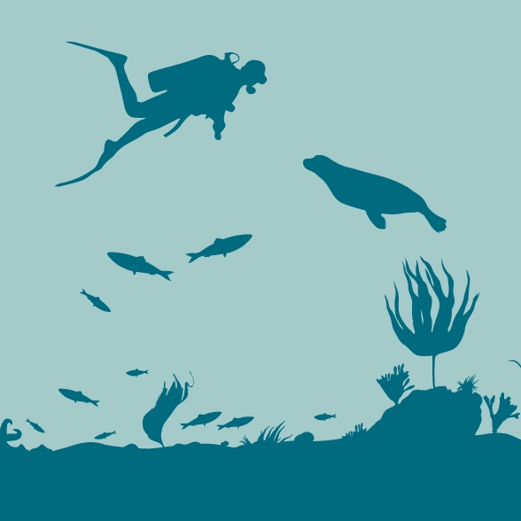 SKRP03.jpg Illustration of a seabed with kelp, fish, scuba diver and seal silhouettes.