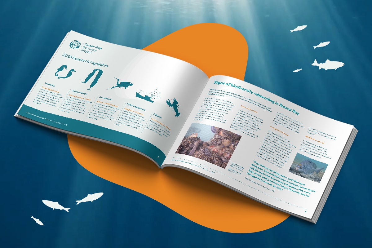 SKRP04.jpg Mock up of report spread showing research highlights