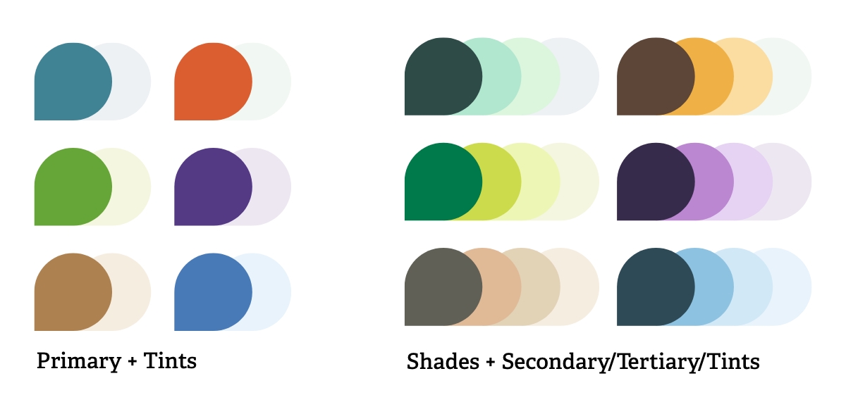 SWT_WildSussex07.jpg Colour combinations of the new colour palette