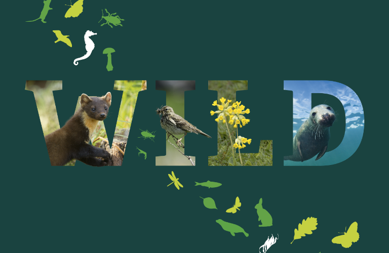 Sussex Wildlife Trust Annual Report & Strategy