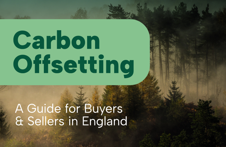 East Sussex County Council Carbon Report